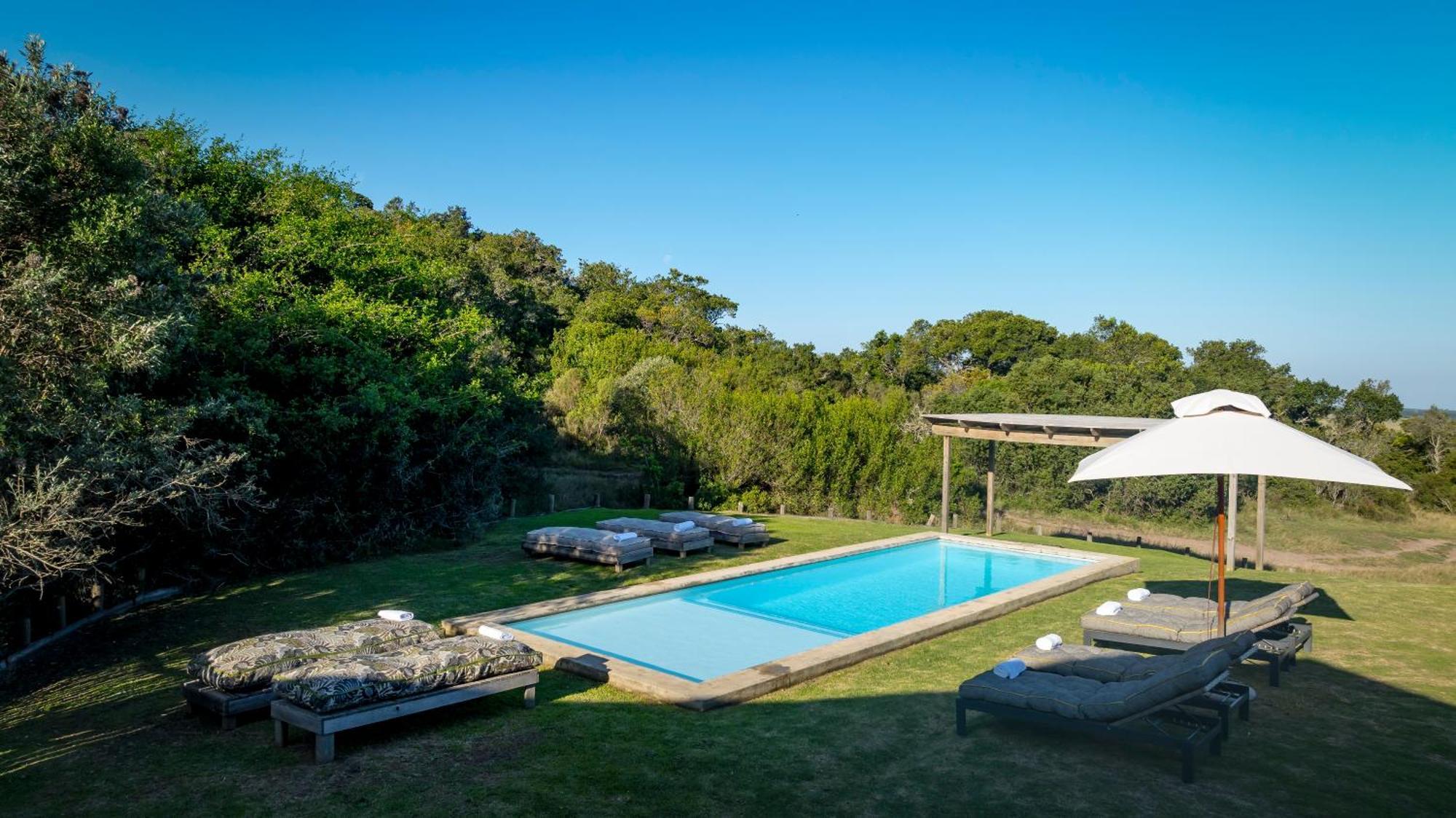 Belle Balance Bush Lodge Plettenberg Bay Dış mekan fotoğraf