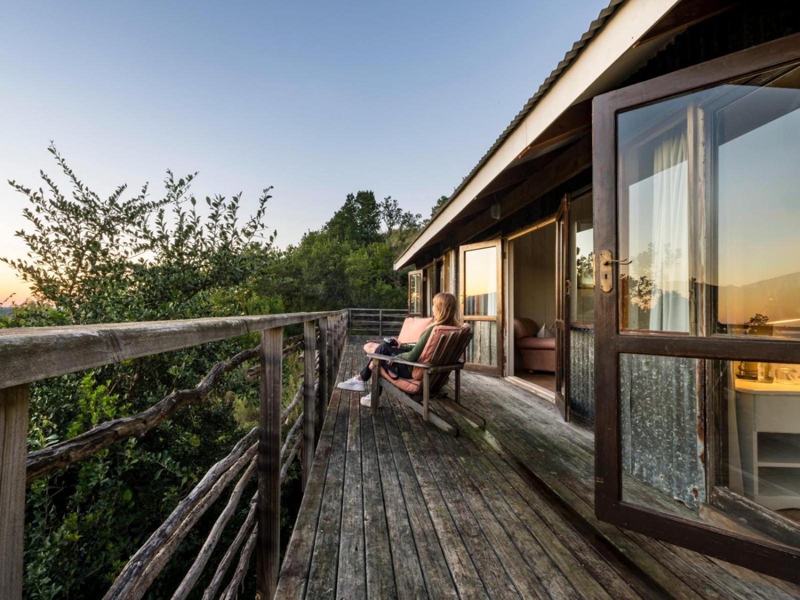 Belle Balance Bush Lodge Plettenberg Bay Oda fotoğraf