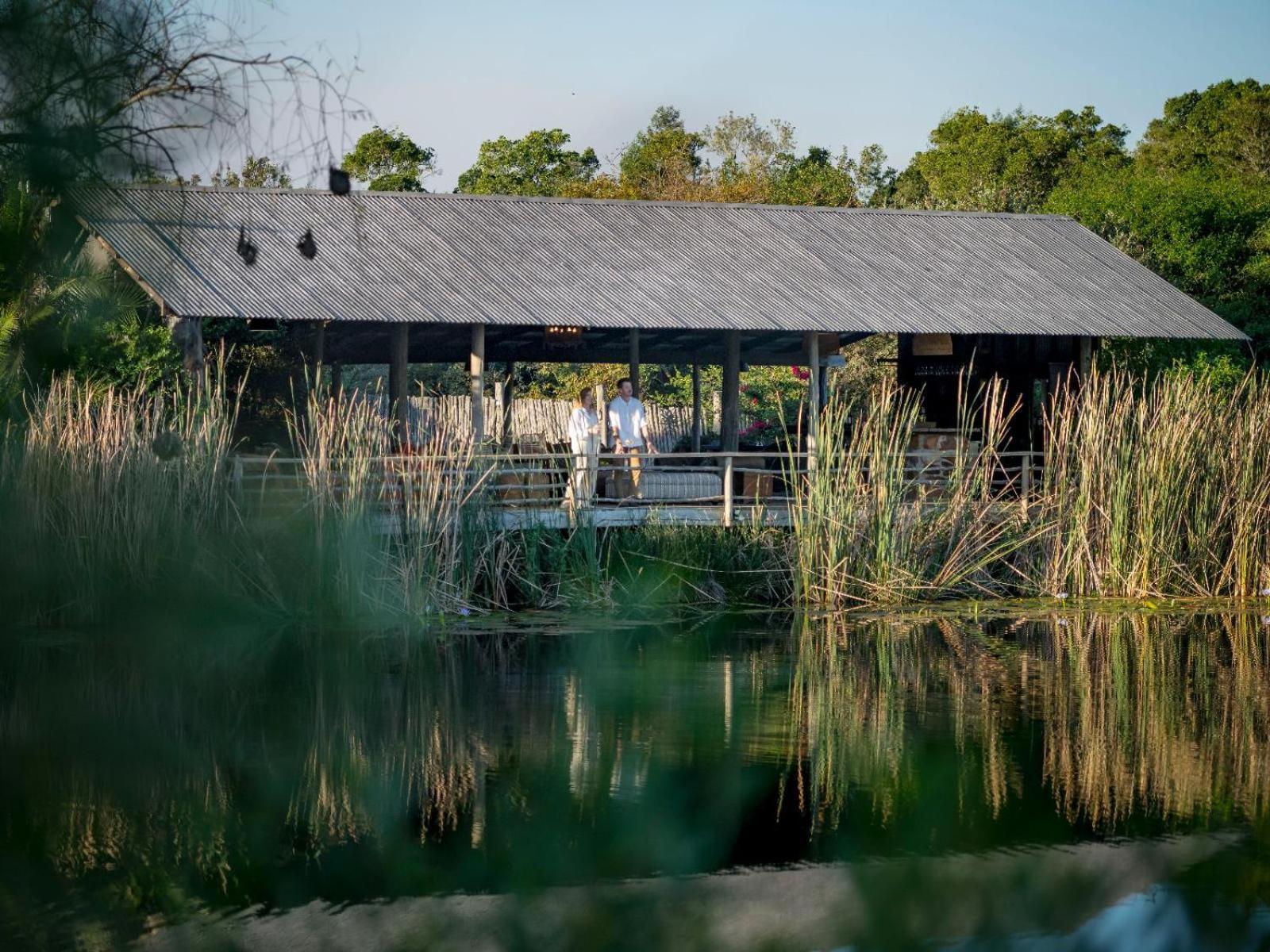 Belle Balance Bush Lodge Plettenberg Bay Dış mekan fotoğraf